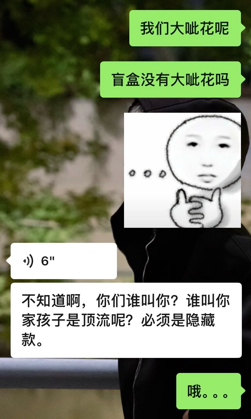 没想到吧有一天我竟然当上了顶流妈