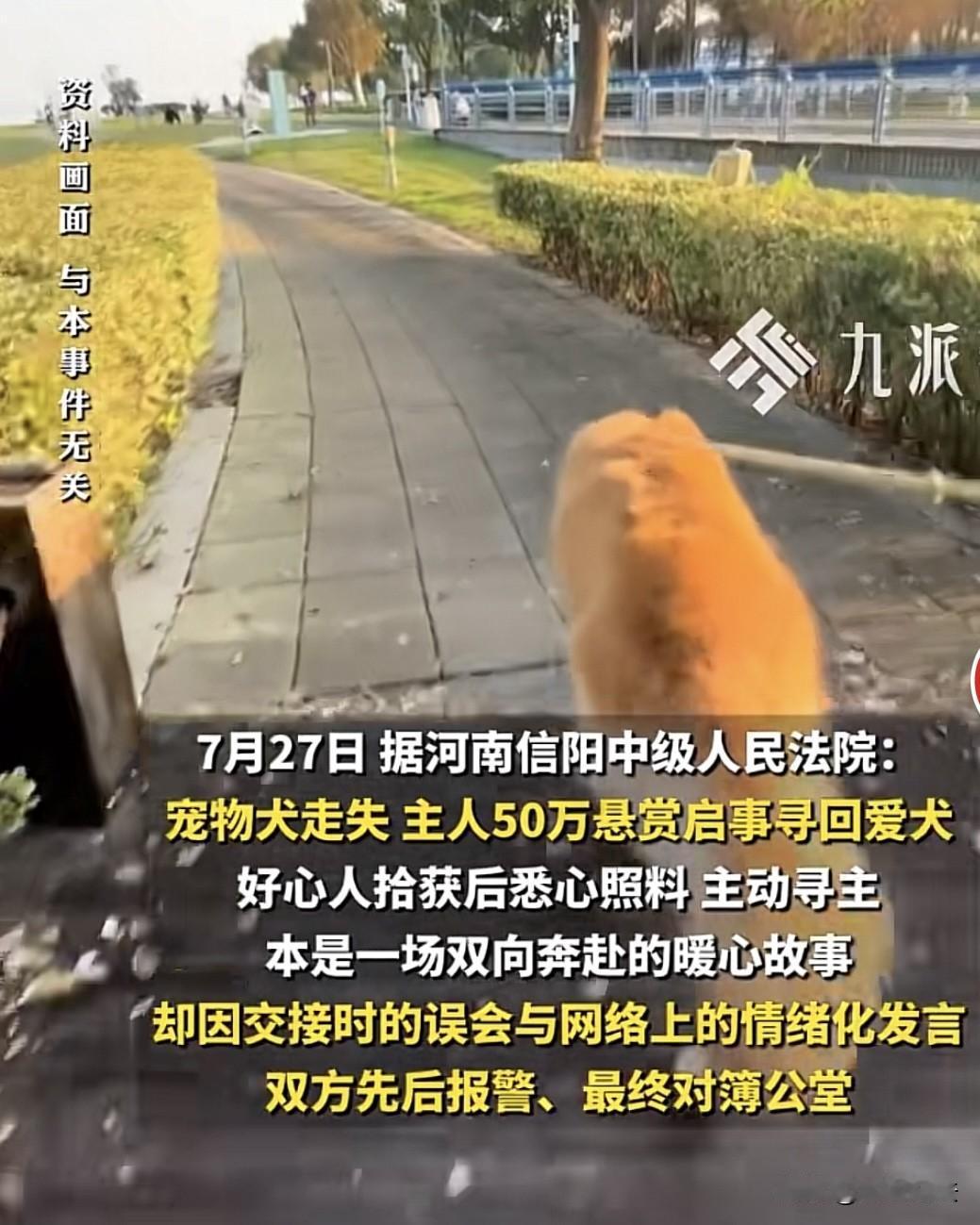 河南信阳，男子养了多年的狗丢了，发布悬赏：找到狗重谢50万元！可是在和拾狗者交接