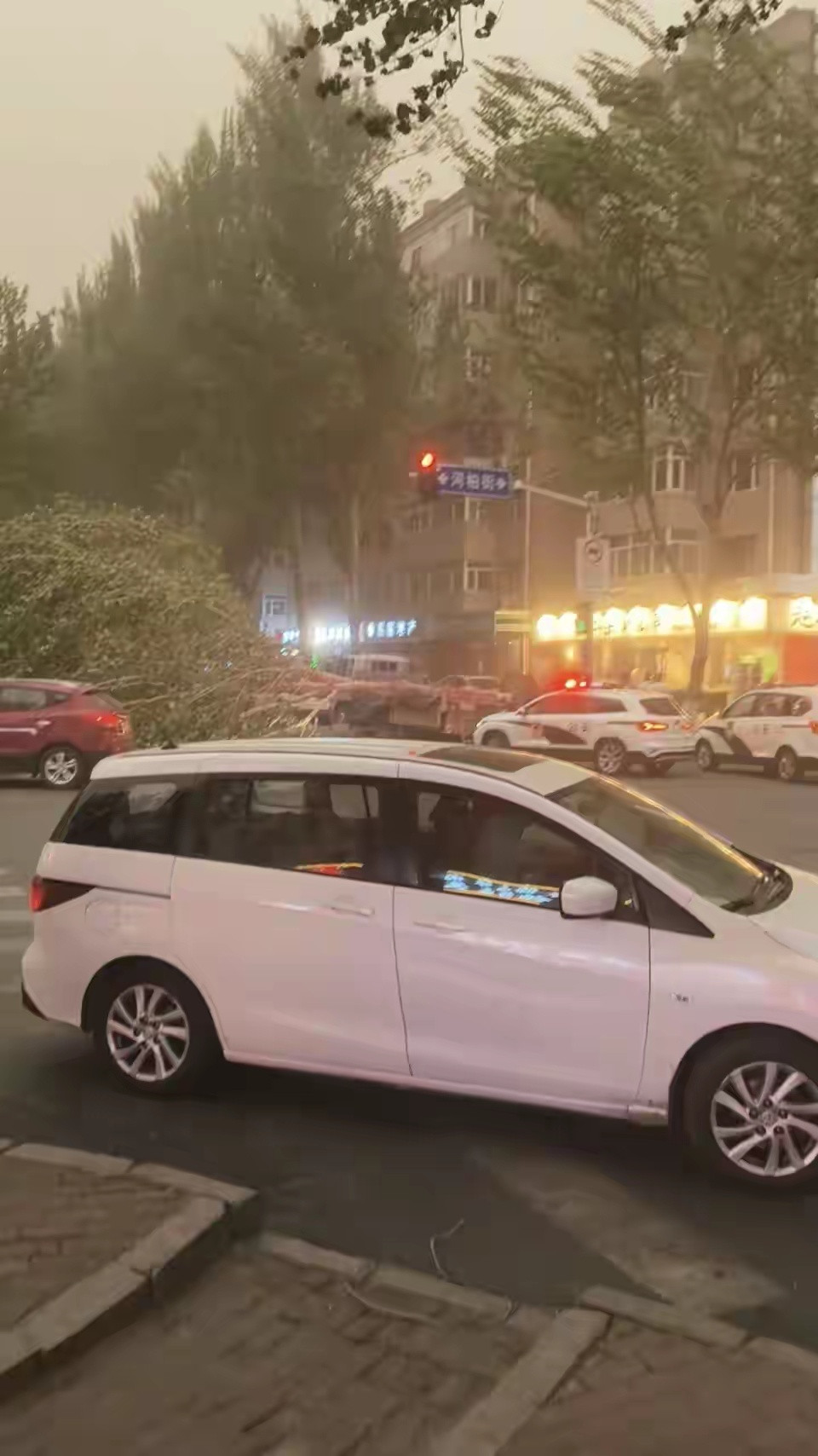 哈尔滨一大树被风刮倒砸中多辆车哈尔滨市道里区河松街与河柏街交口处，一棵大树被风吹