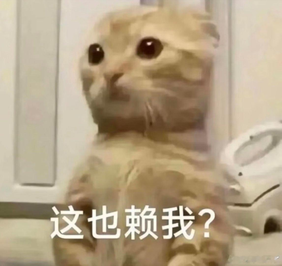 搞笑表情包。​​​