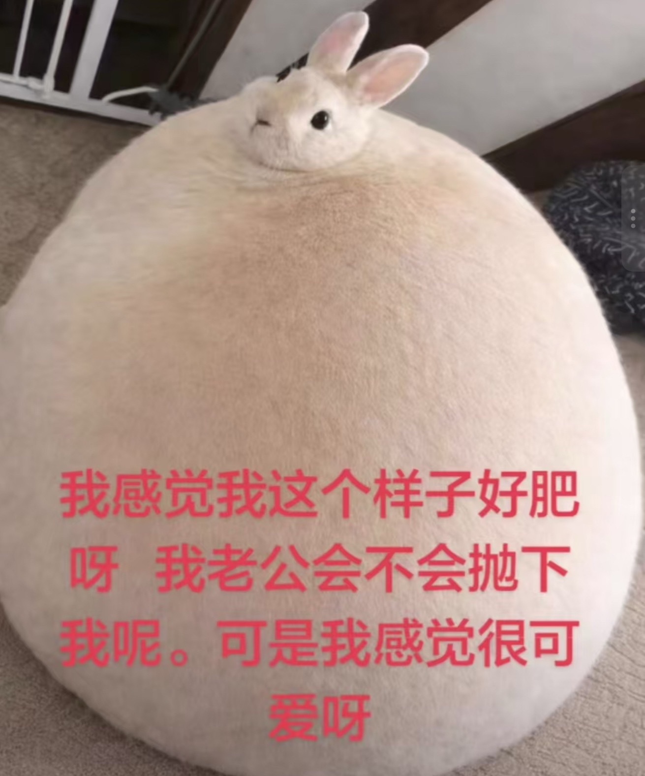 素心好
