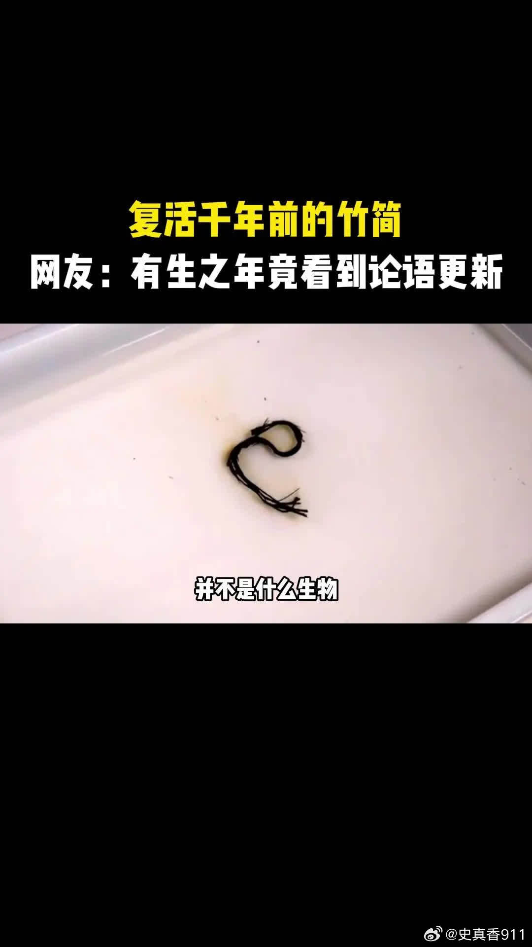 💥考古界大发现！📚你见过真正的起死回生术吗？📖此时正在药水中挣扎扭动的并