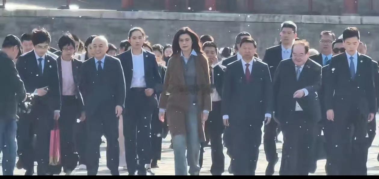 北京的柳树不打针吗？像我们浙江这边，给梧桐打针、给柳树打针，今年“飘絮”问题得到