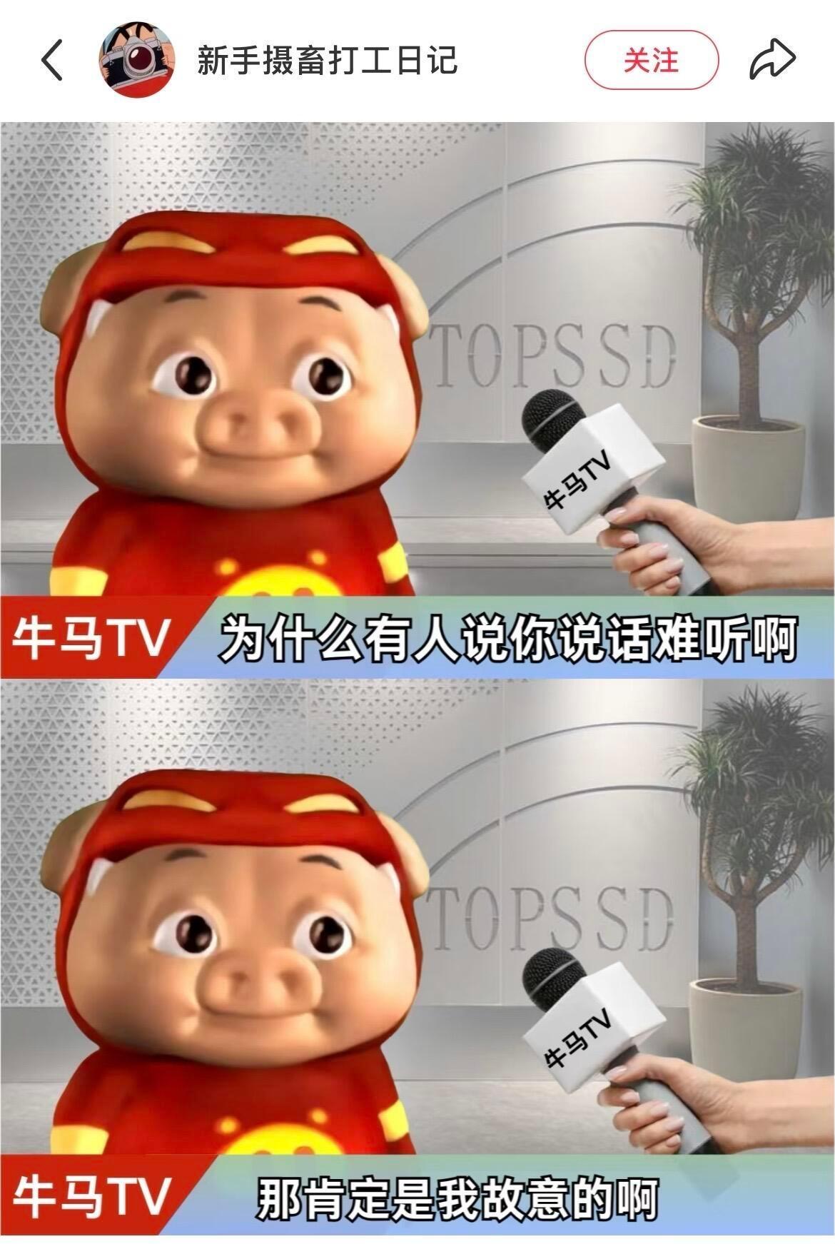 杀伤力梗图积累​​​