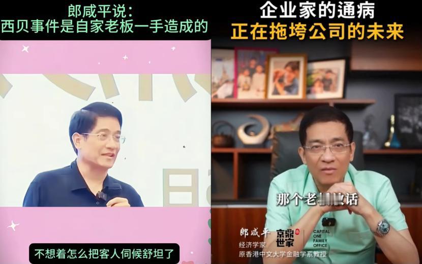郎咸平教授发话啦，说西贝贾国龙别把锅甩给罗永浩，还吐槽他这脑子也就北方能