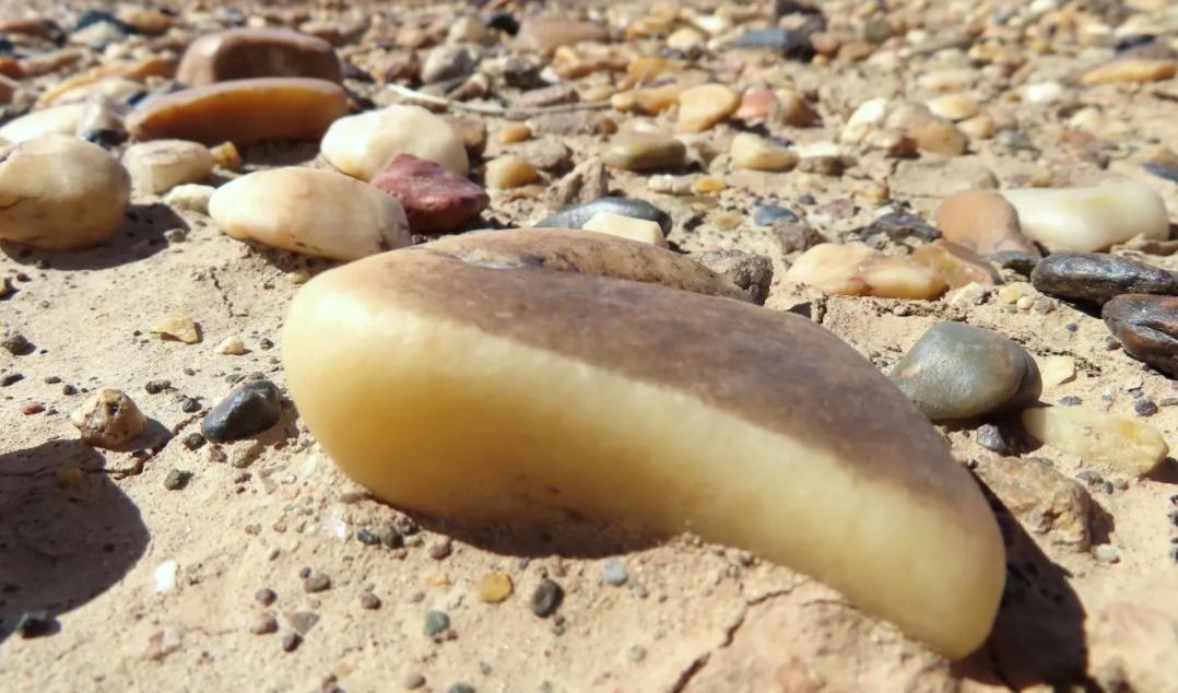 沙漠里的“活宝石”大揭秘：会走路的石头，千年轨迹藏着哪些惊天秘密？嘿，朋友们