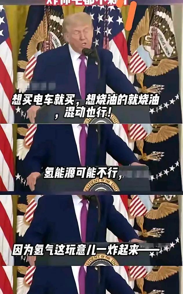 果然是“懂王”，所以国产电动车的方向是正确的，看谁还扯什么日本技术。电车充电、