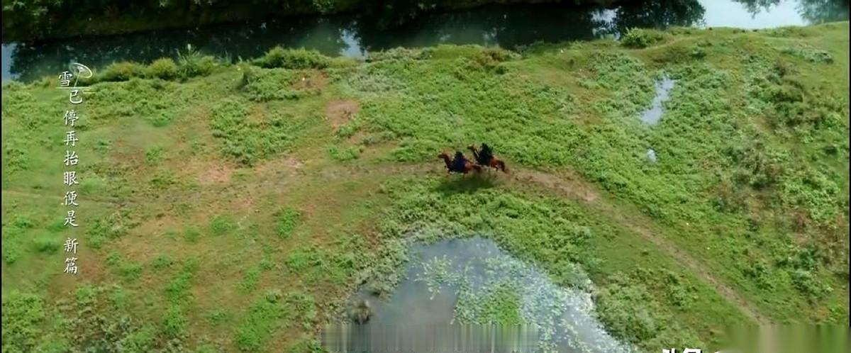 “距离暗河下一次踏足江湖，还有八年。”就这一句。懂的，都懂了。苏昌河，有救了