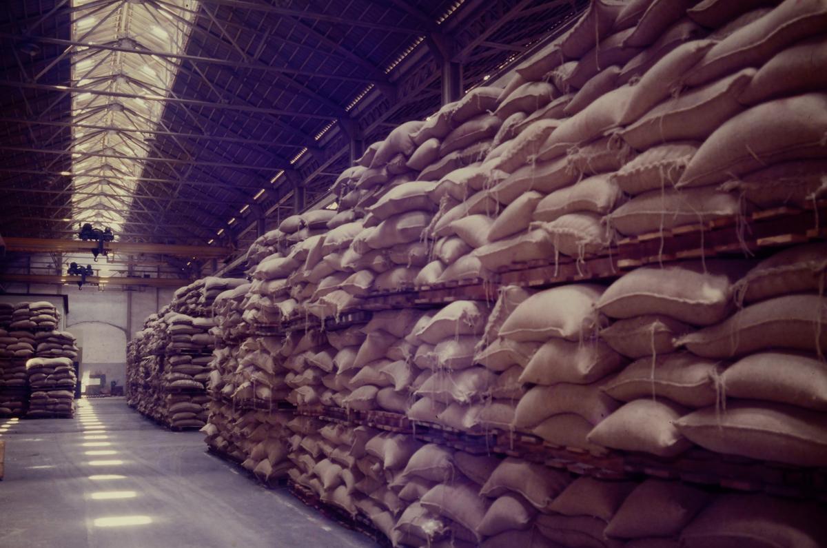 战略储备能撑多久？真相远比你想的更稳妥！很多人都在问：中国战略储备够用多少天？