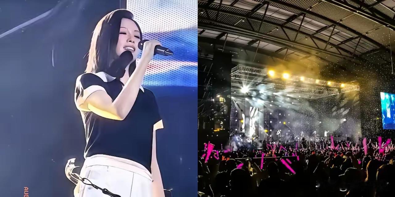 刀郎资中演唱会，8月30号，万金山体育场。他没上台。站中间的是徐子尧、赵