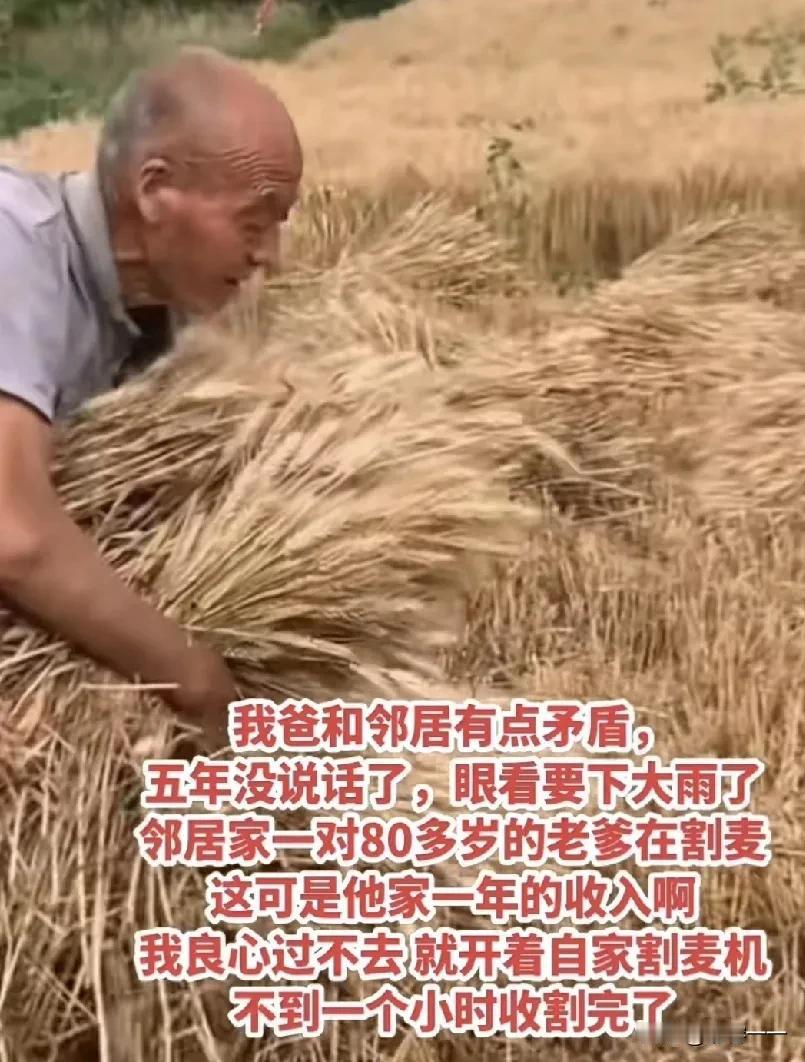 “这位大哥真了不起[赞]！”这位大哥的父母跟邻居有矛盾，5年期间连话都不说一句，