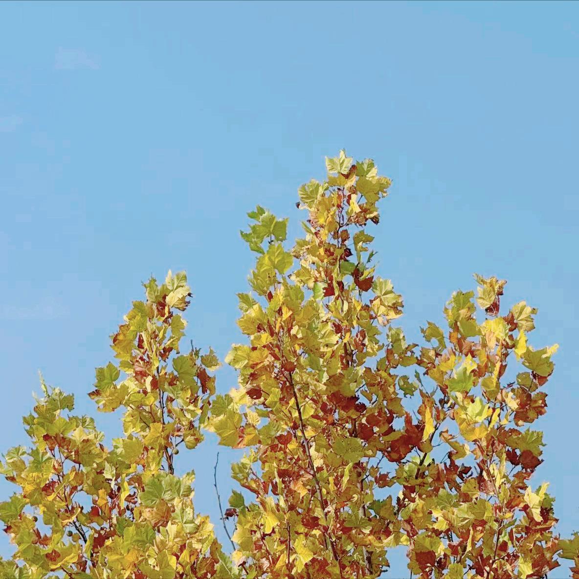 内蒙古地质矿产集团原高管张韦的新闻  今天公开曝光 今天12:00，内蒙古