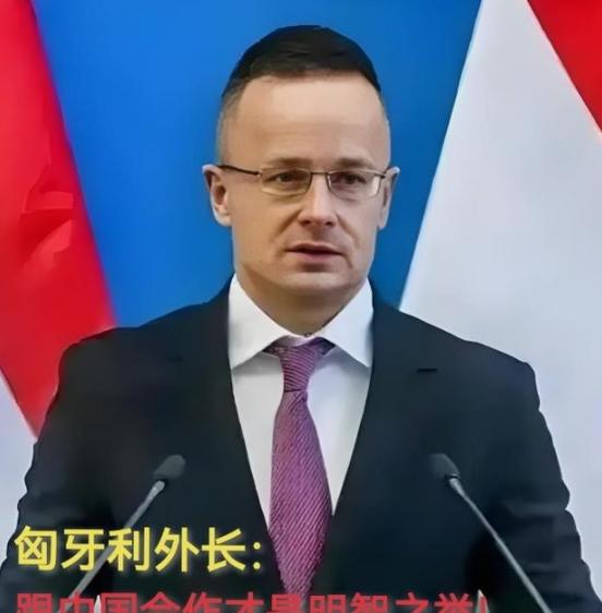 现在全欧洲最后悔的就是德国了吧！德国现在日子很难过。为啥？因为能源太贵了，贵