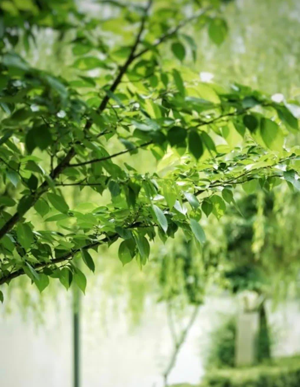 参加工作后，我当了三年车床工，带我的师傅是位回族女子，长得好看，还是从新疆军区大