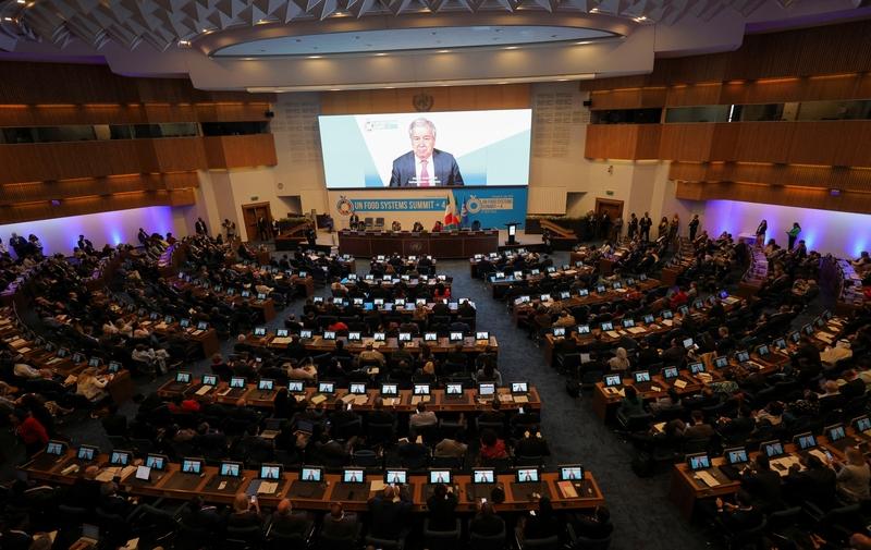 美国已经欠了那么多联合国费用，其中联合国会费21.9亿美元，另外4360万美元的