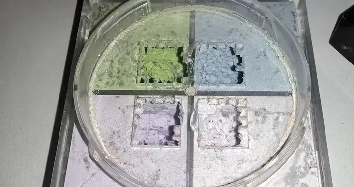在唯品会折扣价买到纪梵希四宫格, 体验过后谈谈感受