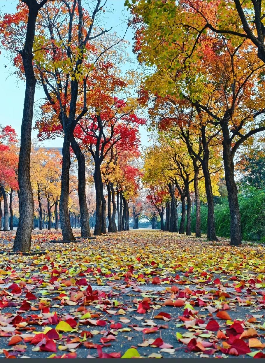 我有个同事，35岁，21岁得了糖尿病，后来发展到尿毒症，每周透析三次。她从