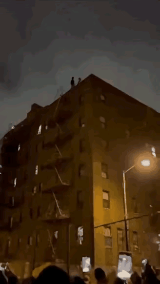 狗的忠诚，还不是人能达到的[祈祷]