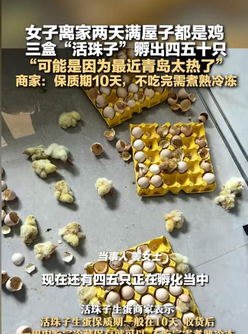 青岛一女子离家2天，一开门全家都愣了！满屋子都是鸡，锅里的，盘里的，还有暖水瓶里