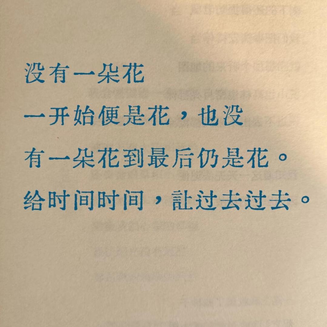 一眼就爱上的句子，太治愈了～治愈系