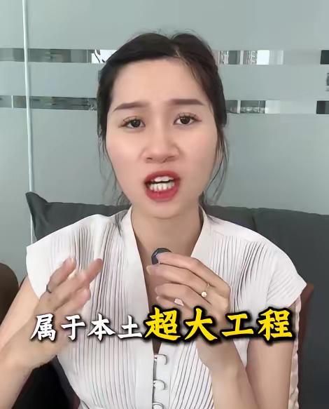 越南博主：越南想修南北高铁是假的，真正的目的是为了白嫖高铁技术，所以这么多年才没