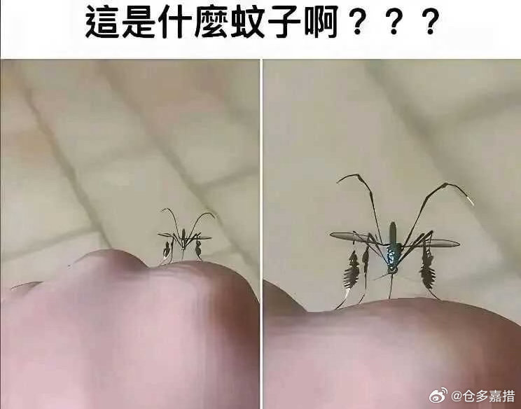 进化🧬了！