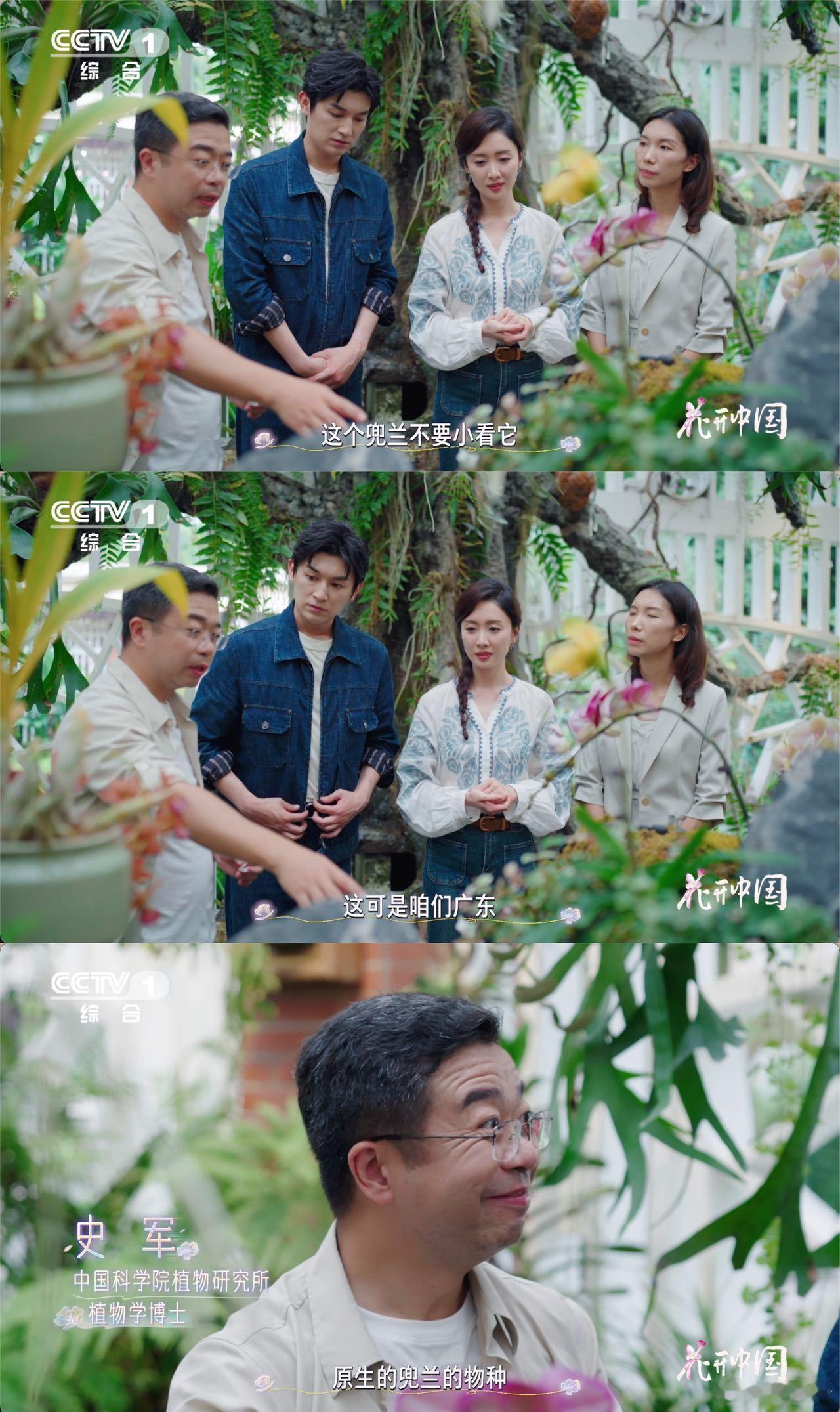 居然还有兰花长得像拖鞋原来花也很狡猾真的第一次见长成拖鞋模样的兰花，叫紫纹兜兰