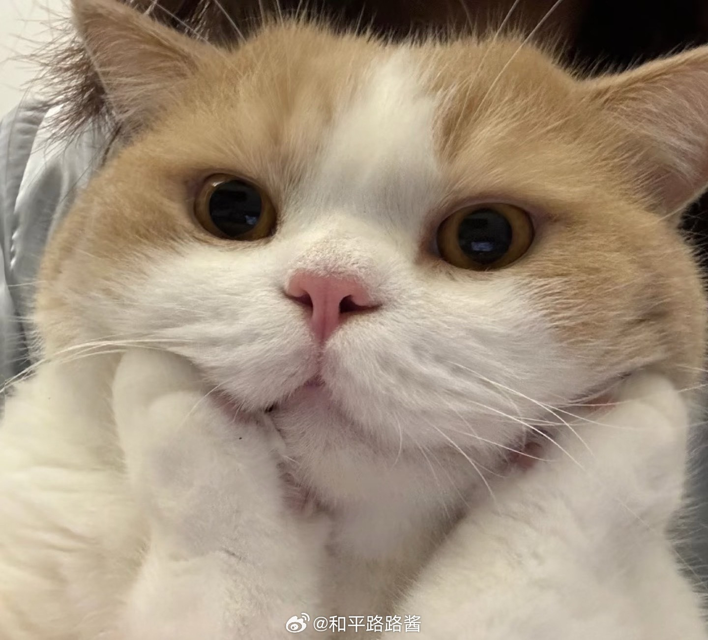 美甲已经进化成这样了吗很有脑洞，但是路路酱先婉拒了路路酱早晚安