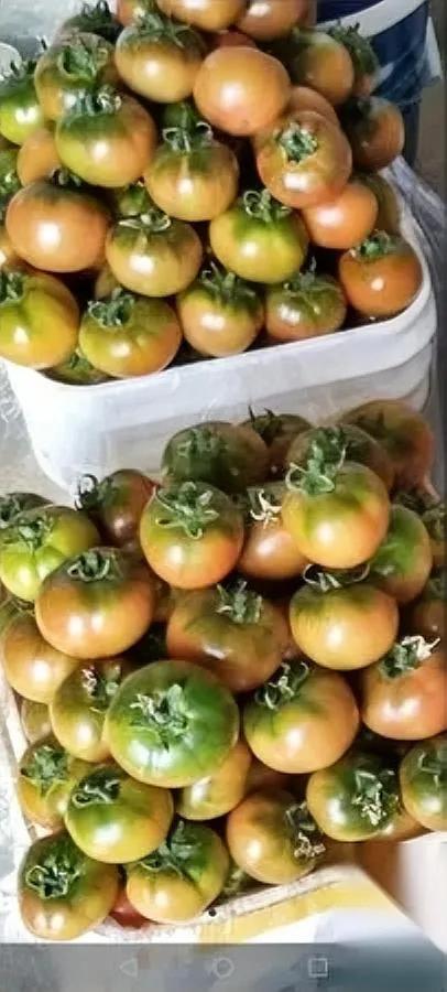 离婚带娃分60万，回娘家却...亲弟媳竟开口要四十万？她离婚后带着孩子，