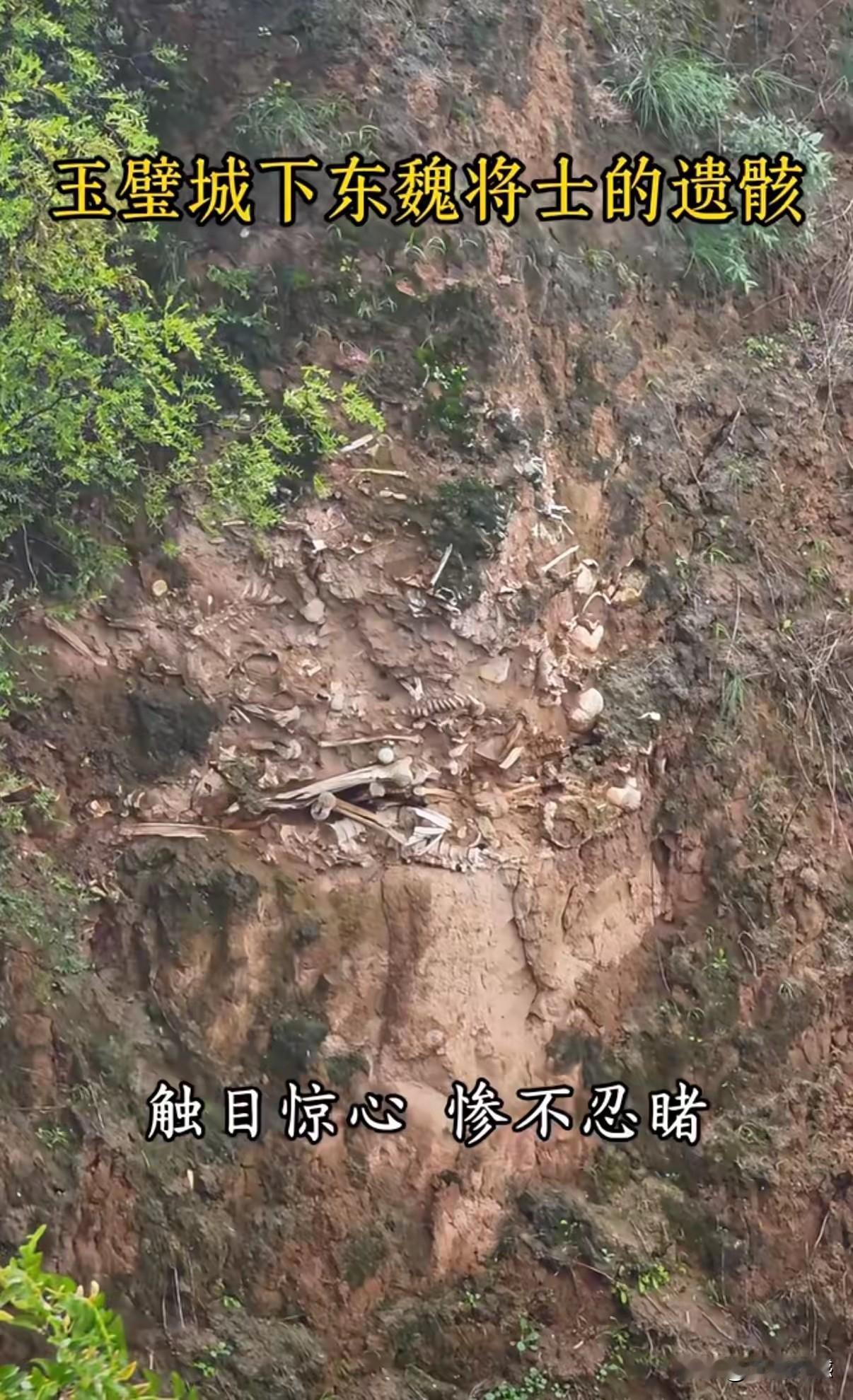 看到这些累累白骨，可以想象古代战争的残酷，画面中的这个遗址，就是当年玉璧城遗址，
