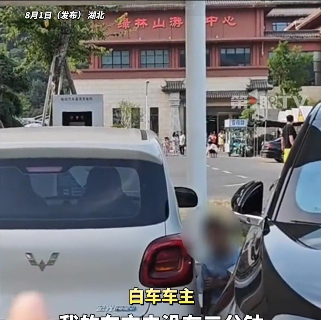 湖北，女子把车停在车位上面充电，不料，就三分钟的功夫，她回来一看，一辆理想车主就