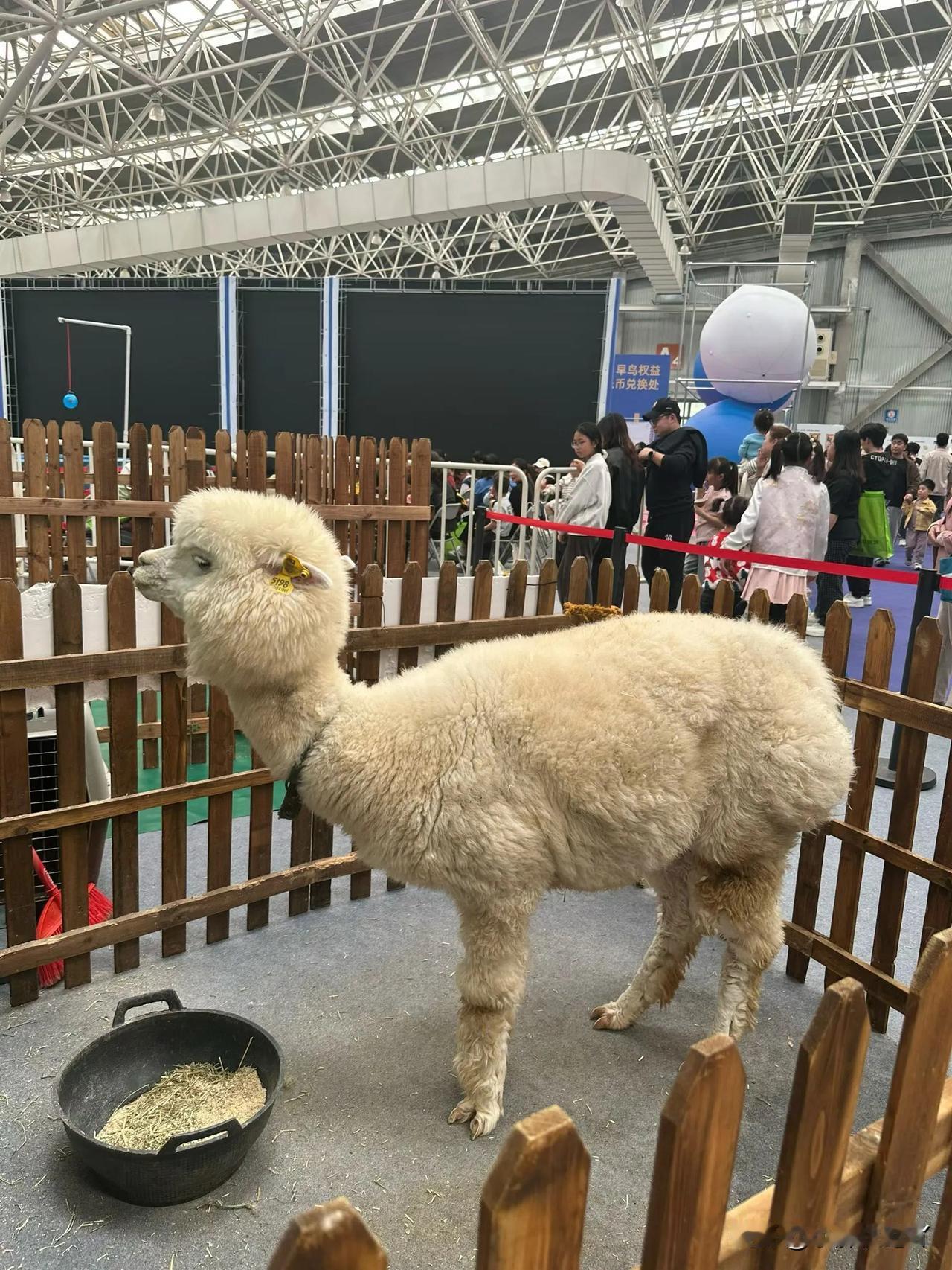 减肥会上瘾，我130目标115，115不满足又减到现在的103，103不满足又想