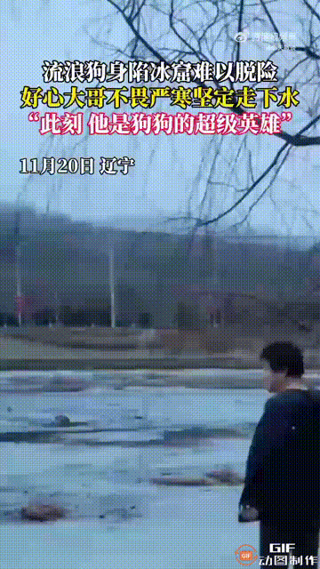 辽宁一处河边，一名男子看见一只小狗身陷冰窟，站在河中央冻得瑟瑟发抖，于是决定下水