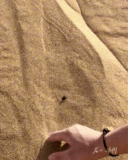 这就是生活，当你想认真的时候，一定会有人故意不让你好过。