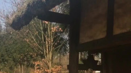 中国 浙江快乐彩走势图基本