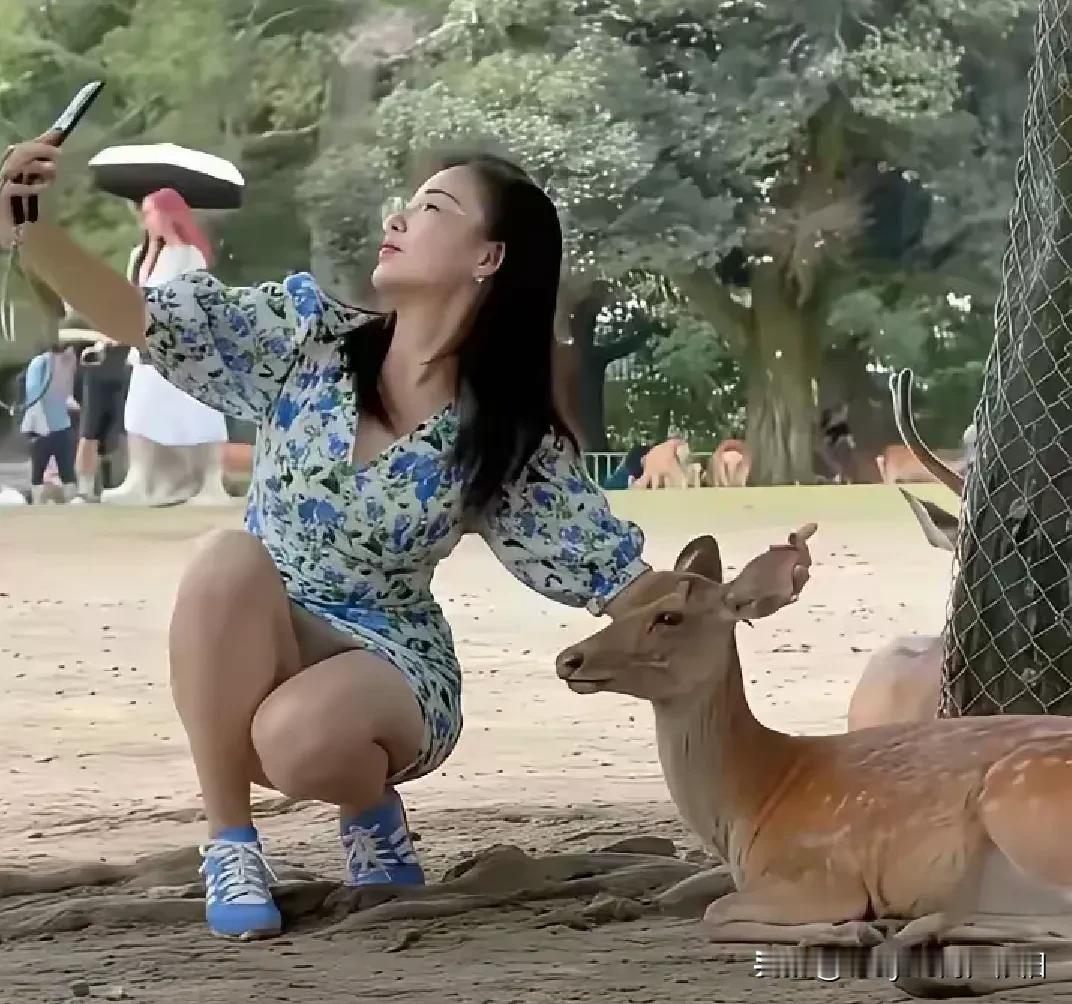 只要你够细心，到处都有美丽的风景～唯一的一点瑕疵就是，小鹿可能一点都不愿意跟她