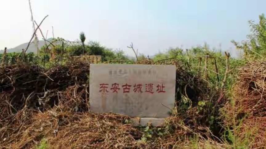 2024年多项考古新发现接连刷新认知，多处既定历史叙事被直接改写。三星堆新发现