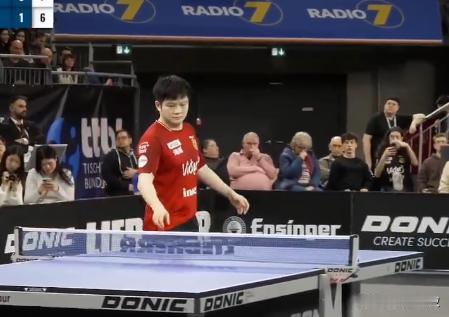 我去！樊振东在德国杯，一晚打四场。半决赛东哥打了两场，两场都是3:1战胜了