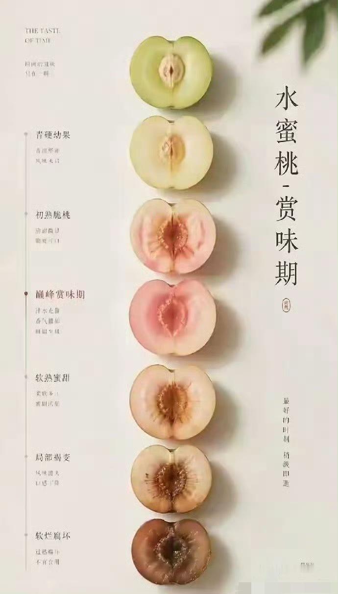 蜜桃赏味期，清香满心间。