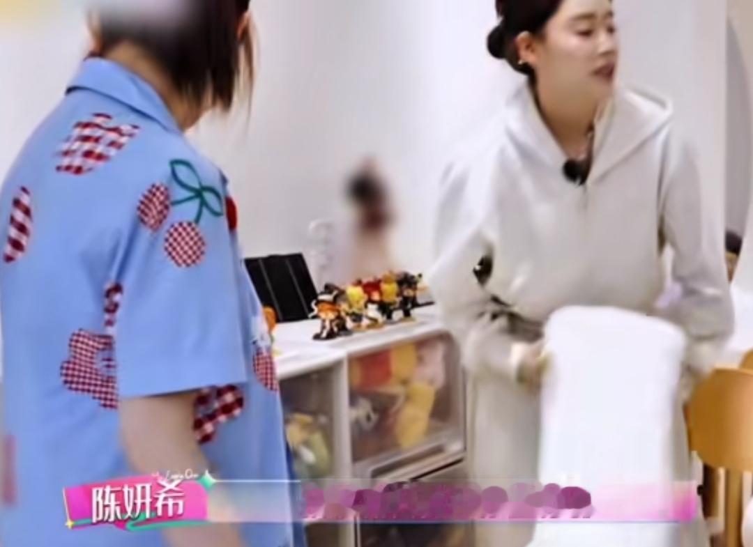 陈妍希和欧阳妮妮带孩子一起玩，陈妍希一句话让人替欧阳妮妮尴尬了，陈妍希：“这边我昨天才收拾的一干二净