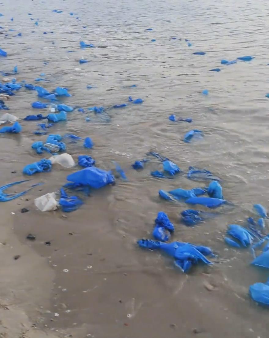 福州平潭岛岸边漂浮大量蓝色鞋套大自然慷慨奉上“蓝眼泪”，人类却回以一地“蓝垃圾”