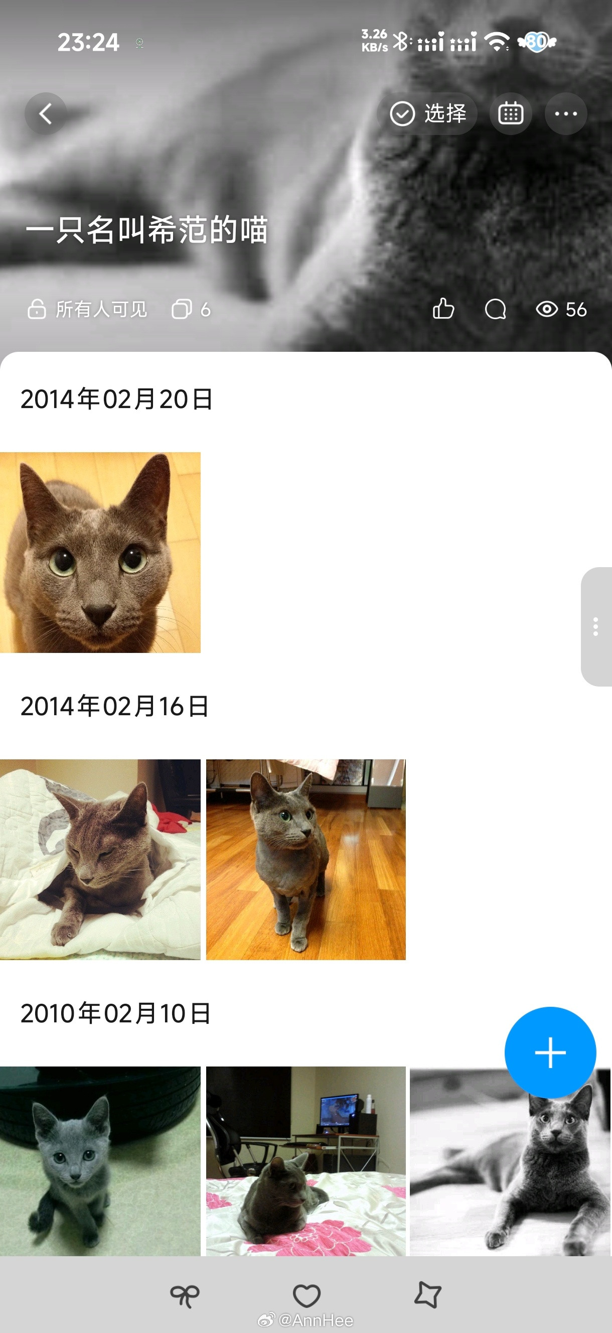 糖包九岁半了，最近刚结束她猫生里第三次手术，休养的挺好，又开始活蹦乱跳。前天跟一个朋友聊天，我们的猫
