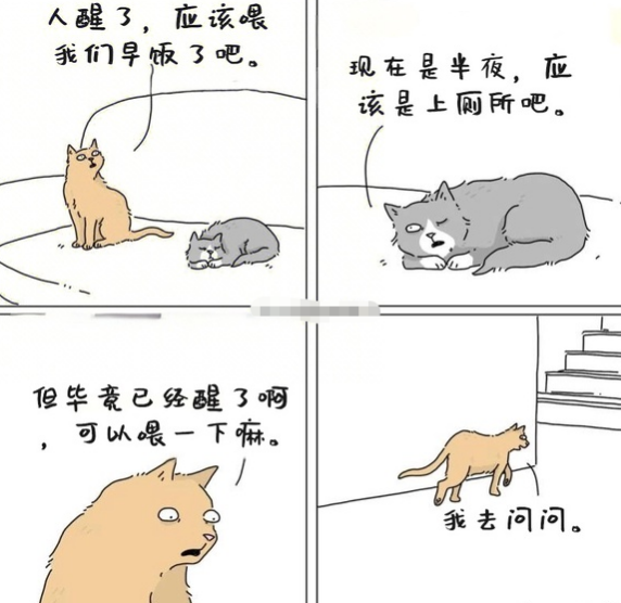 醒了,应该喂我们早饭了