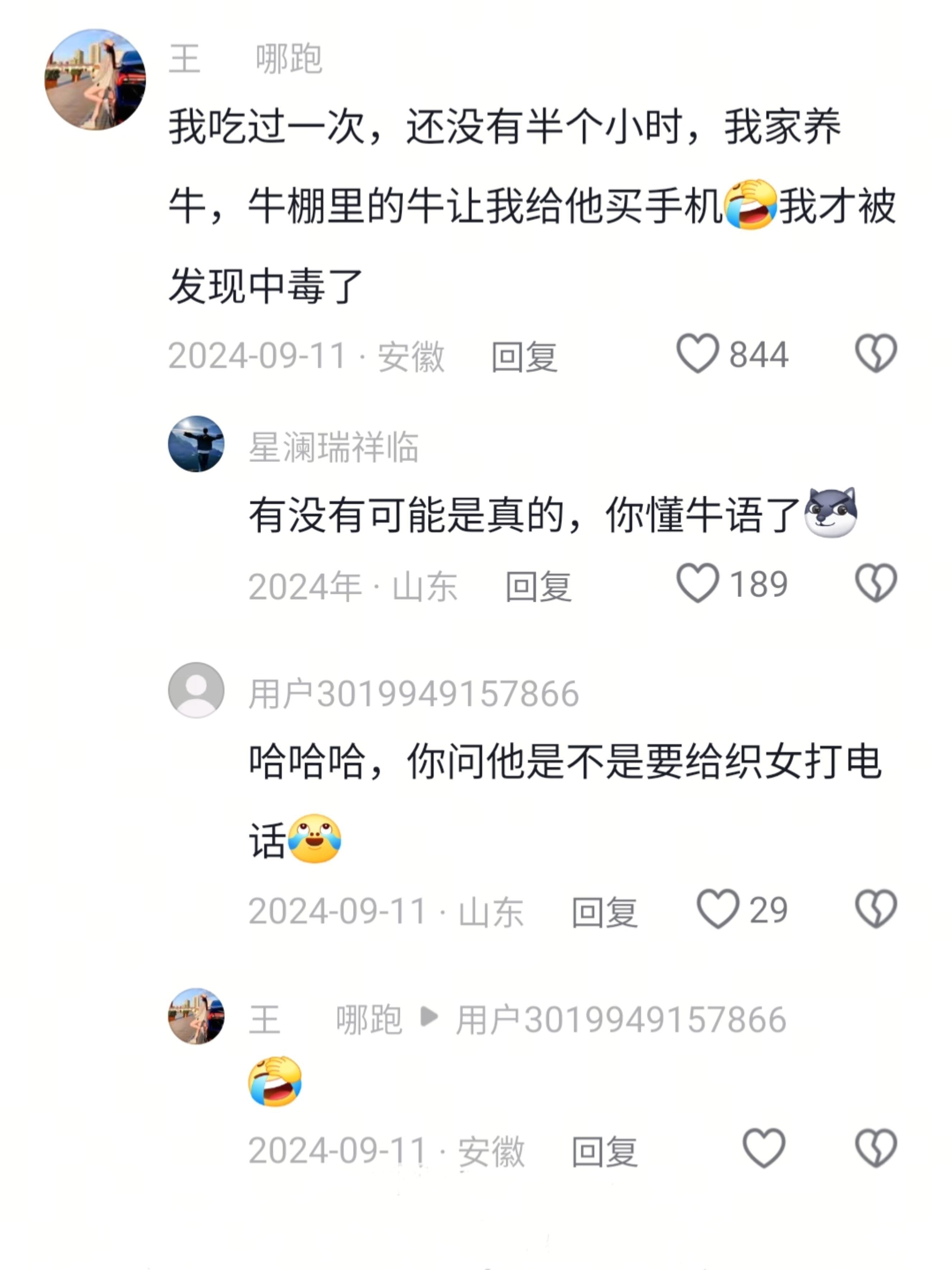 有没有可能是真的，你懂牛语了