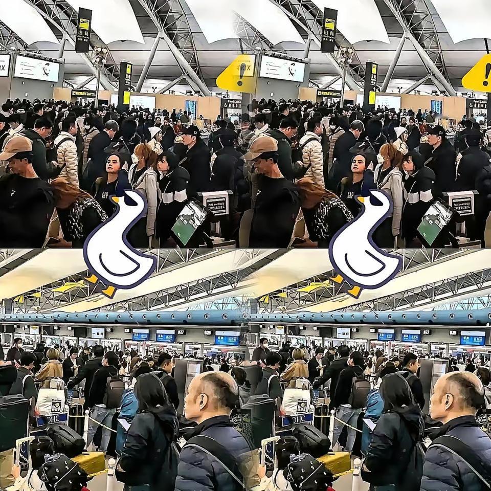 傻眼了吧，赴日旅游这就是不听劝的后果，去的潇洒，想回来可不容易了。航班取消