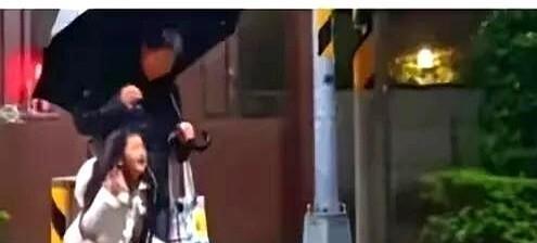 小玥儿和小箖箖的命既幸运又不幸。那天刷到一张旧照差点给我整破防了——小玥儿在大街
