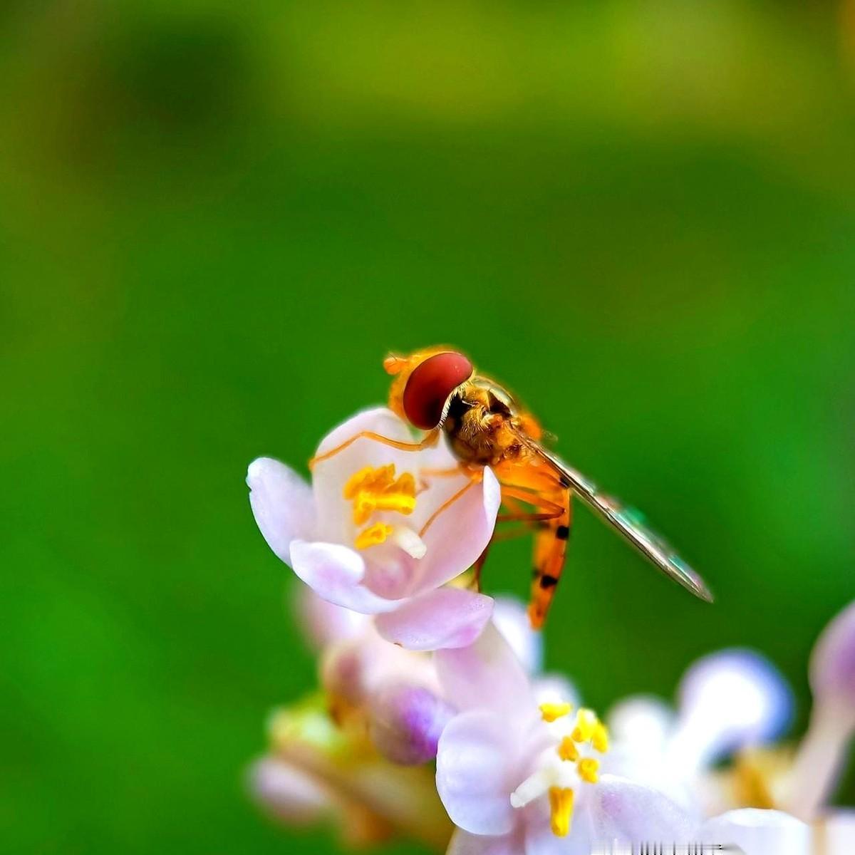 手指头在“卖出”上悬了半天，最后还是一咬牙，点了。就刚才，周一开盘，上周好不容