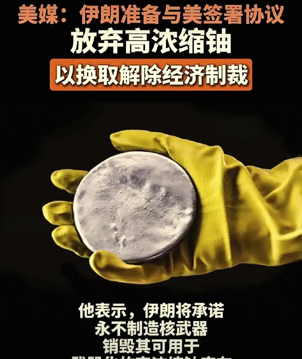 伊朗彻底放弃抵抗，多年努力终归白费！据伊朗高级军官称：1，伊朗将承诺永不制造