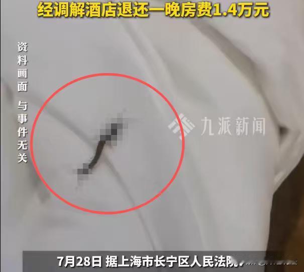 上海，网友入住了豪华度假酒店，一晚房费15300元，连续入住了3个晚上。最后一天