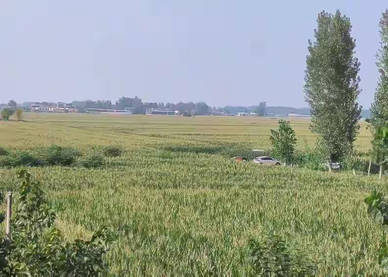 夏付钢从西平逃到漯河，终于被抓，入户偷食和避免被举报刺伤多人，这就错上加错了，情